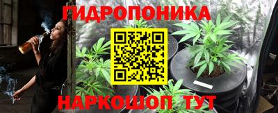 мяу мяу мука Канаш