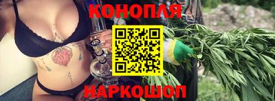 молекула духа Камышлов