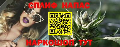 молекула духа Камышлов