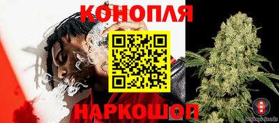 молекула духа Камышлов
