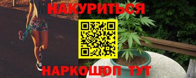 молекула духа Камышлов