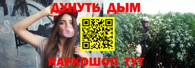 молекула духа Камышлов