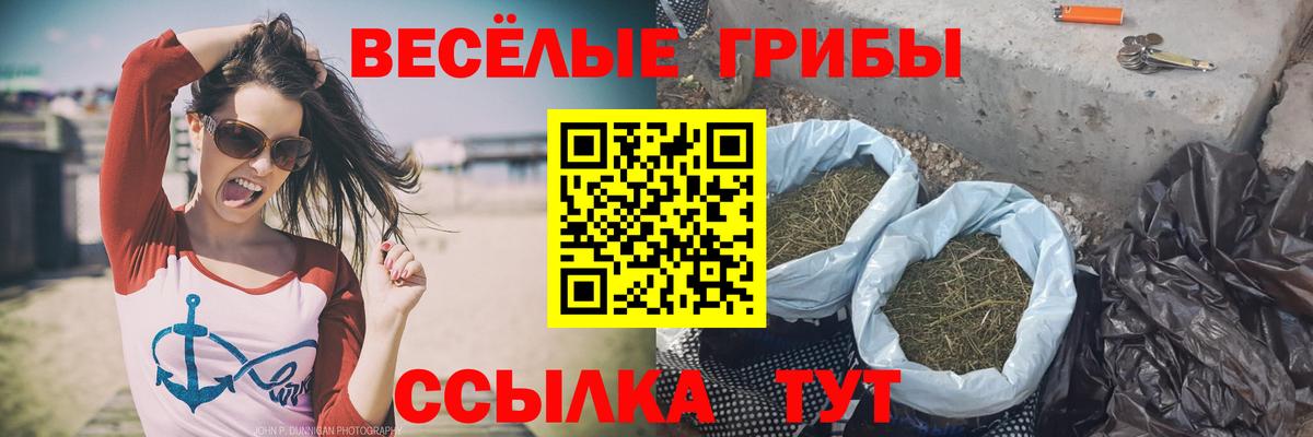 Псилоцибиновые грибы мицелий Кстово