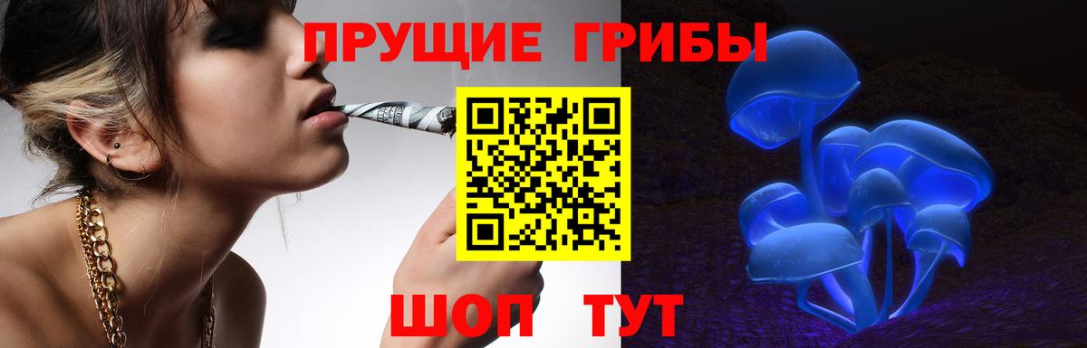 Псилоцибиновые грибы прущие грибы  Вход с VPN  Кстово 